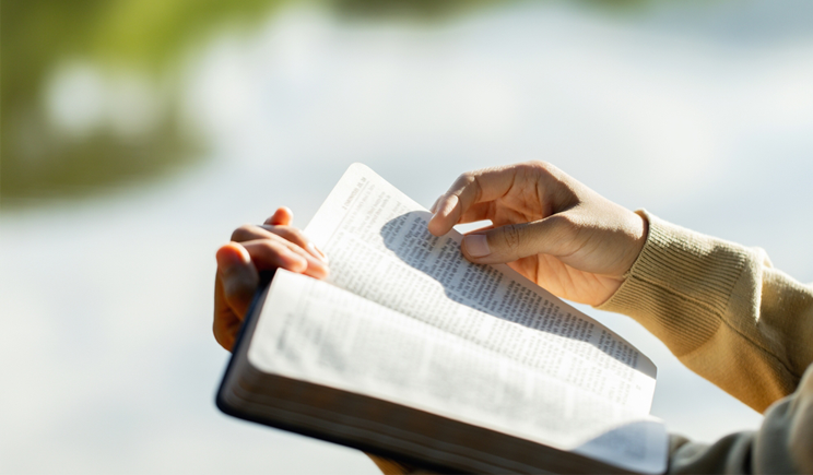 A Mulher que ouve a Voz de Deus: discernindo o Espírito para 2026