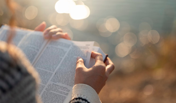 Somos Conservadores! 