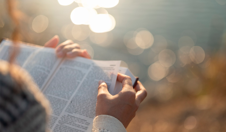 Não foi por mérito