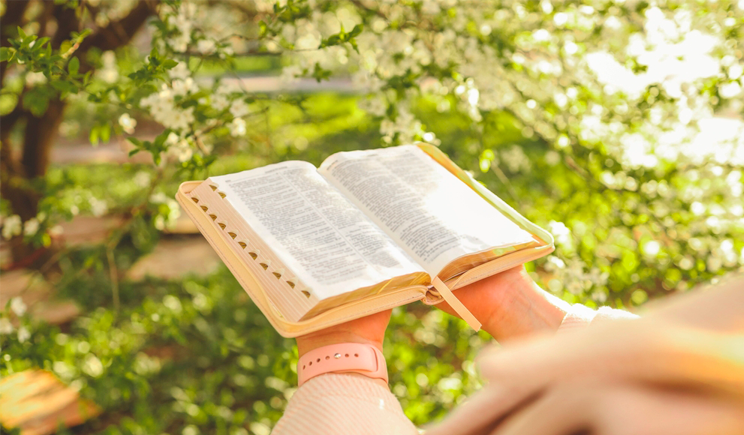 Quando a graça muda tudo