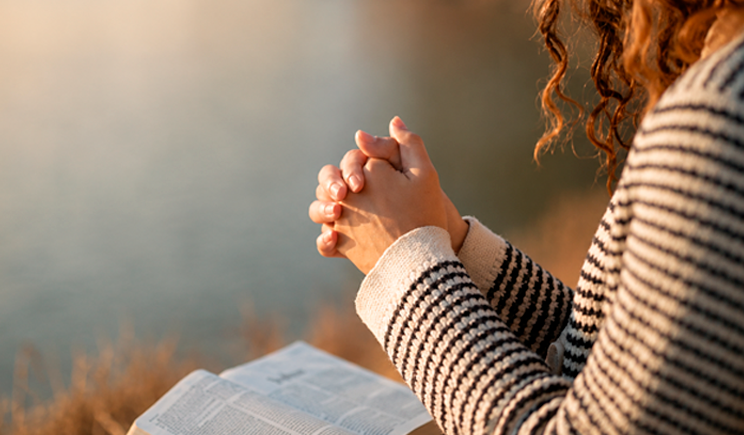 Raízes profundas - a estação de permanecer em Deus e fortalecer a vida espiritual
